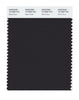 Pantone SMART Color Swatch 19-3909 TCX Black Bean