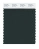 Pantone SMART Color Swatch 19-5406 TCX Pine Grove