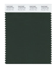 Pantone SMART Color Swatch Card 19-5918 TCX Mountain View