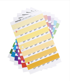 Pantone Plus Solid Chips Coated Replacement Page 1.6 C